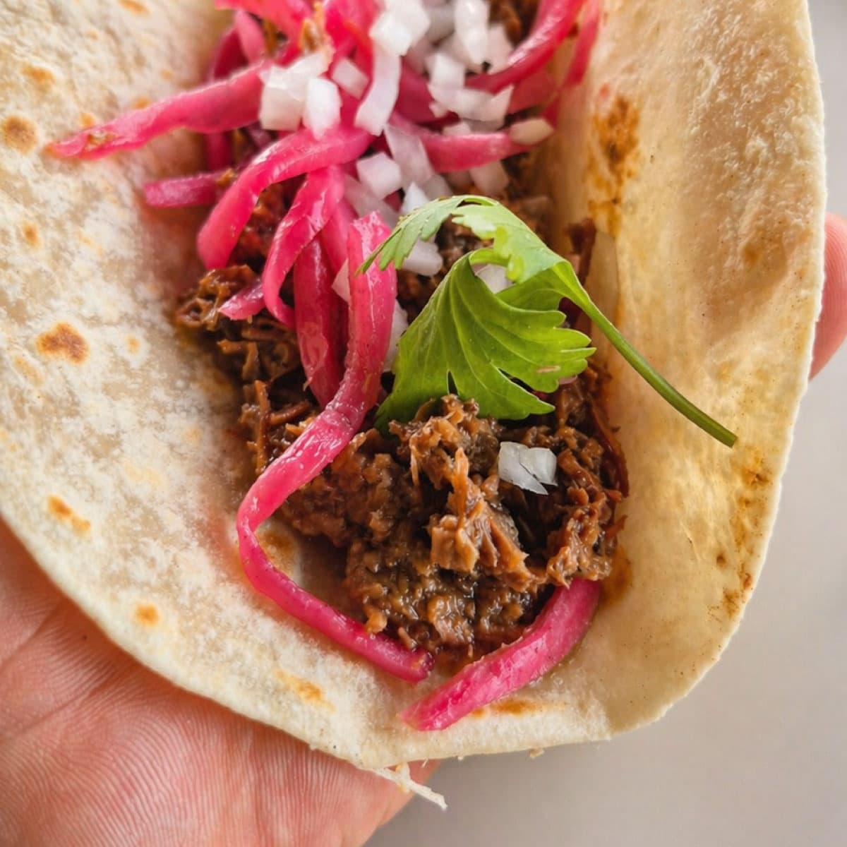 牛肉炖菜玉米饼配洋葱和芫荽